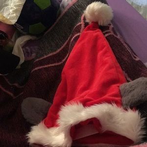 Great Wolf Lodge x mas hat